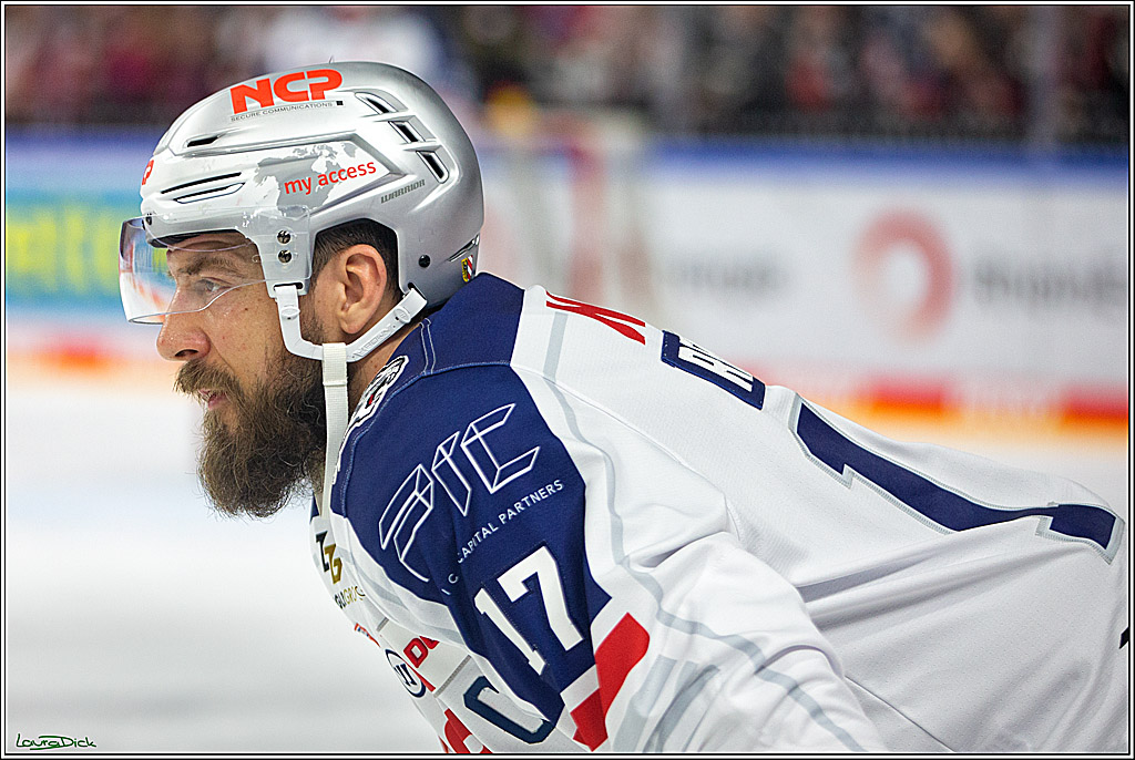 PENNY DEL; Koelner Haie- Nuernberger Ice Tigers; Koeln, 29.01.2023